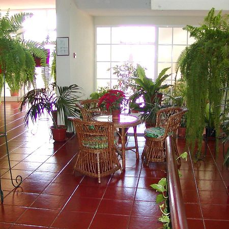 Vila Marta Funchal  Exterior photo