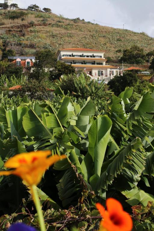 Vila Marta Funchal  Exterior photo