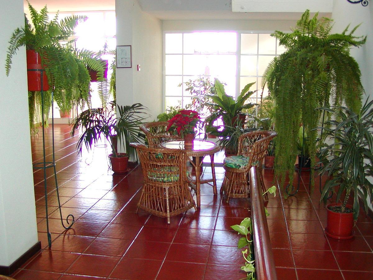 Vila Marta Funchal  Exterior photo